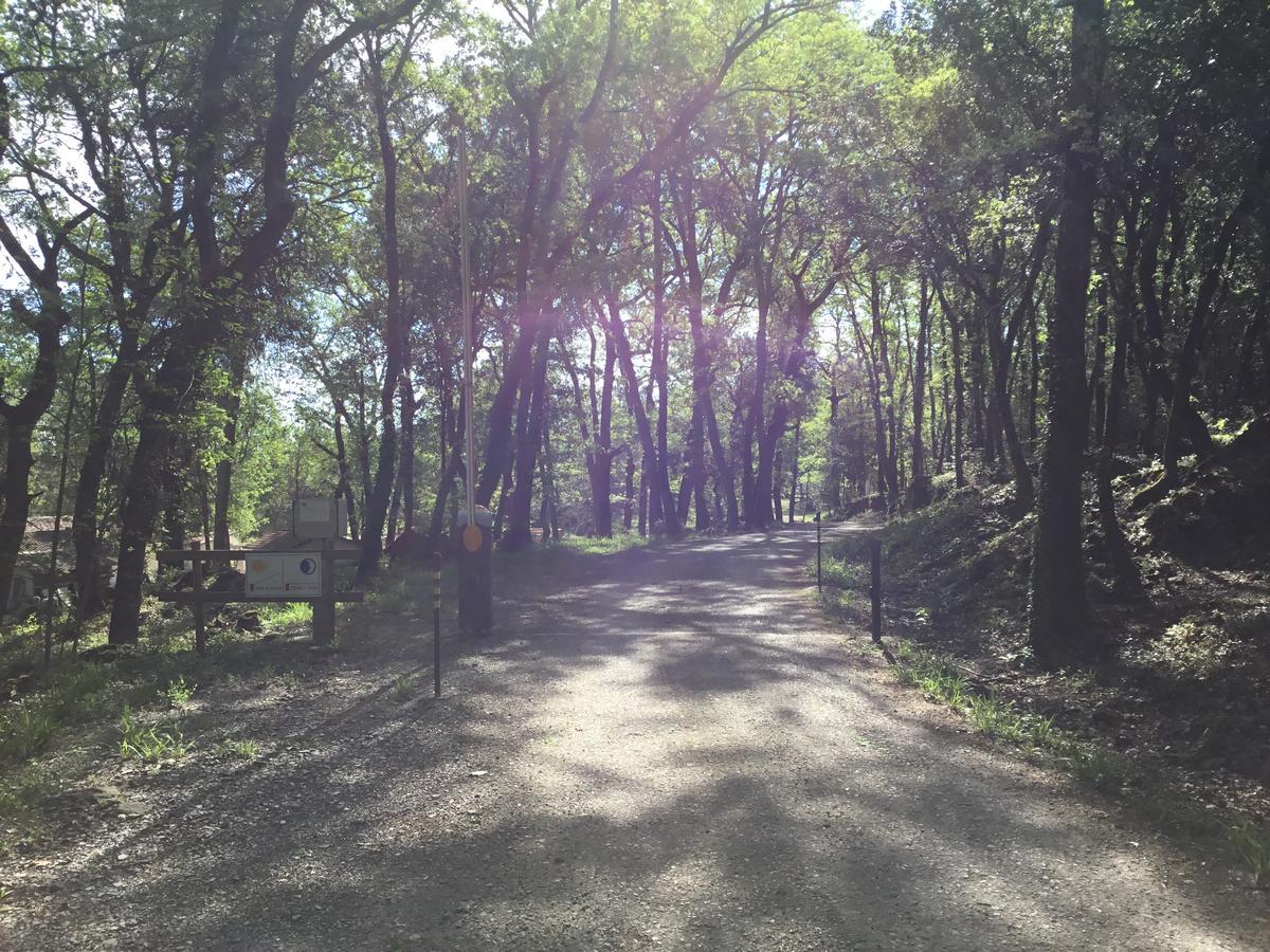 Camping De Graniers Monoblet Luaran gambar